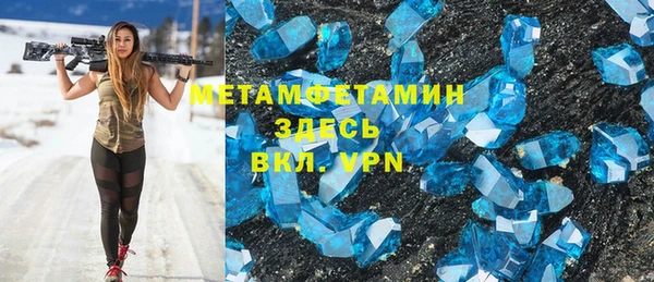 прущие грибы Балабаново